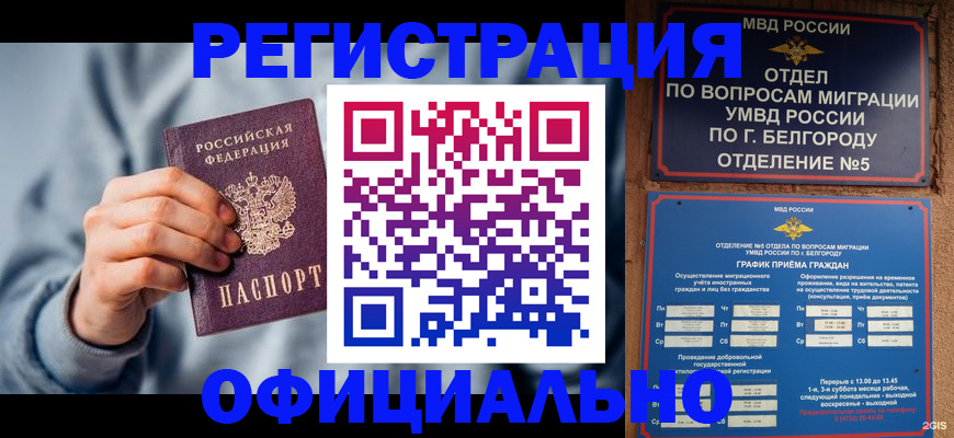 миграционный учет в Курске